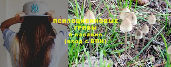 винт Новодвинск
