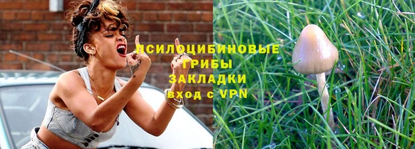 ПСИЛОЦИБИНОВЫЕ ГРИБЫ Алексеевка