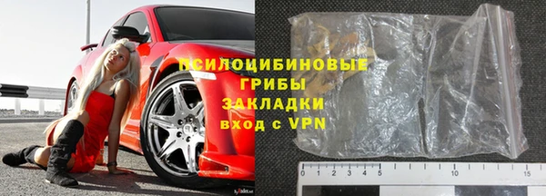 ПСИЛОЦИБИНОВЫЕ ГРИБЫ Алексеевка